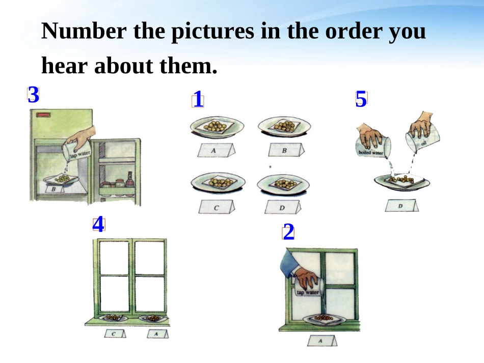高中英语 Unit4(Exploring plants)Writing课件(1) 新人教版选修9 课件_第3页
