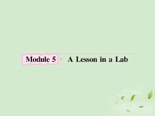 高考英语 Module5知识与要点课件 外研版必修1 课件