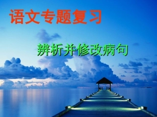 高考语文 辨析并修改病句专题复习课件 新人教版 课件
