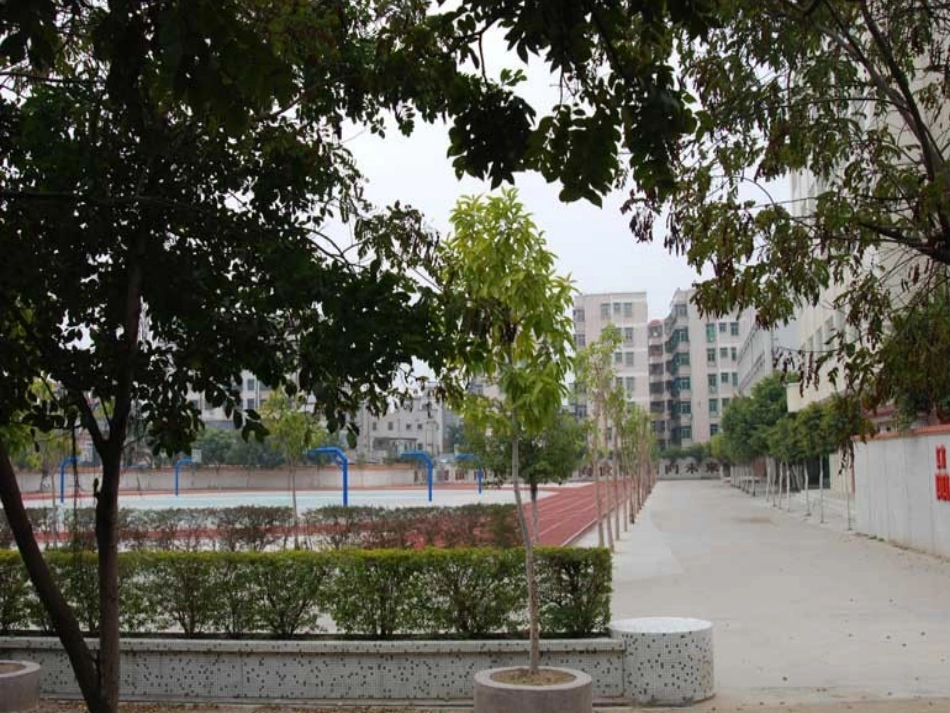 高考语文 压缩语段复习课件_第2页