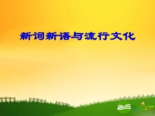 高二语文新词新语与流行文化课件人教版 课件