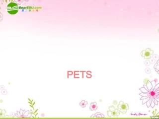 高中英语 Unit5 animal friends-language points课件 上海新世纪版S1A 课件