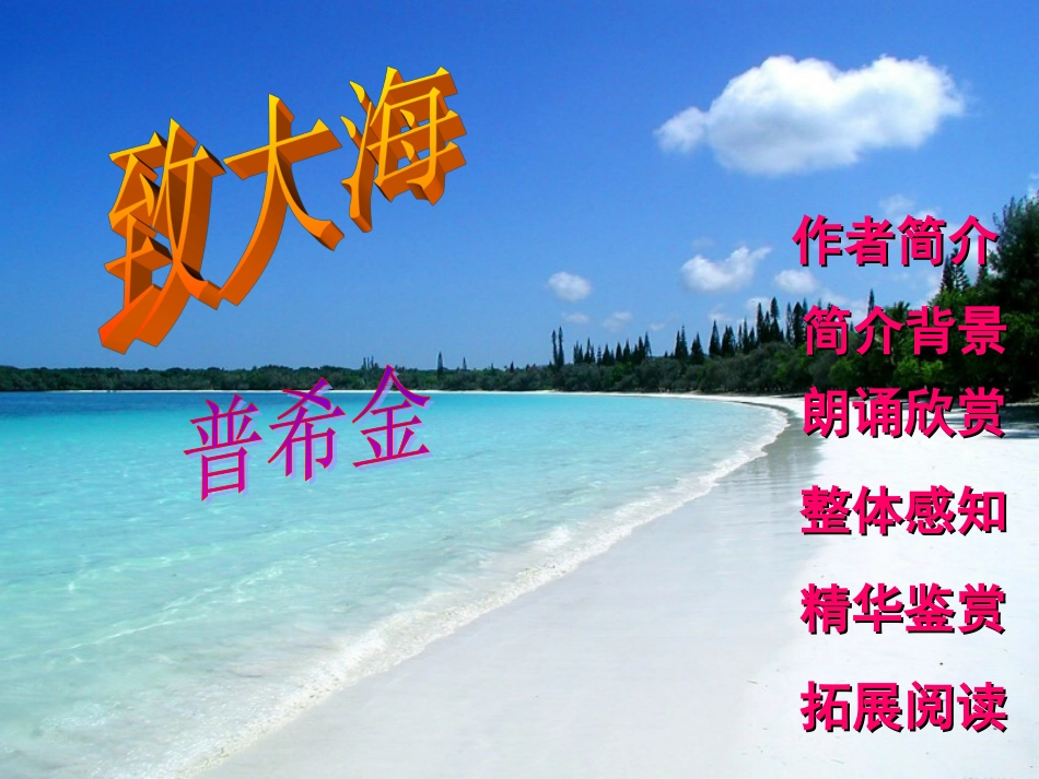 高中语文外国诗歌四首(致大海)(我一无所求)(底片)(黑八月)课件 粤教版必修2 课件_第3页