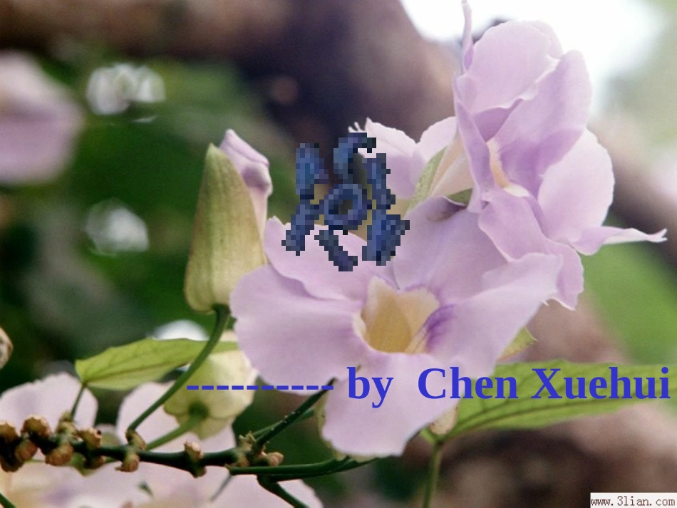 高二英语Unit17课件 新课标 人教版 课件_第1页