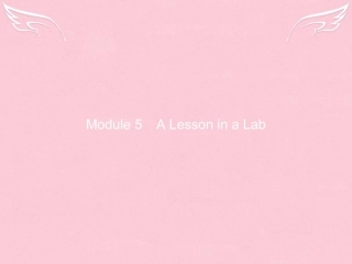 高中英语 Module 5 A Lesson in a Lab Section Ⅰ Introduction,Reading  Vocabulary课件 外研版必修1 课件