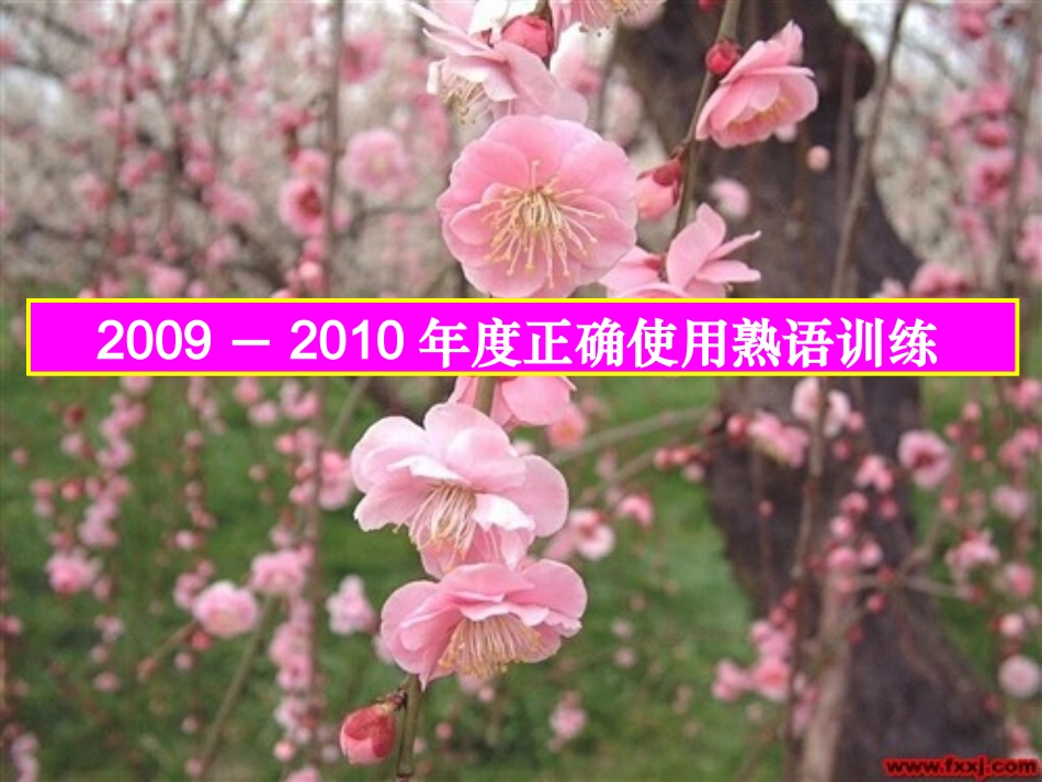 高三语文正确使用熟语训练课件_第2页