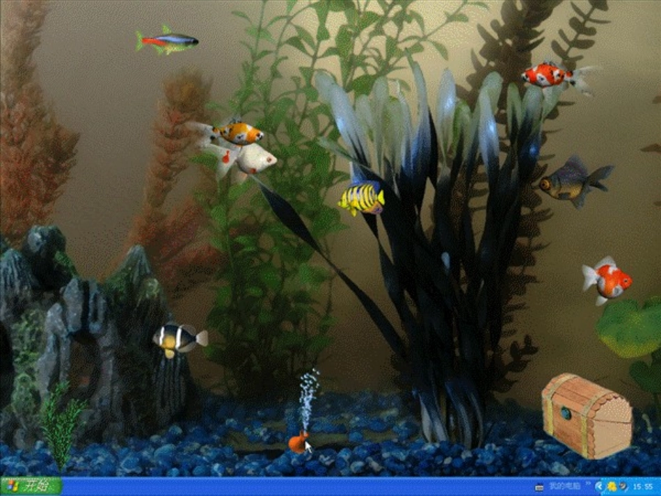 高三语文正确使用熟语训练课件_第3页