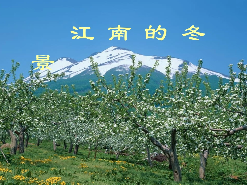 江南的冬景 课件 新课标 苏教版 课件_第1页