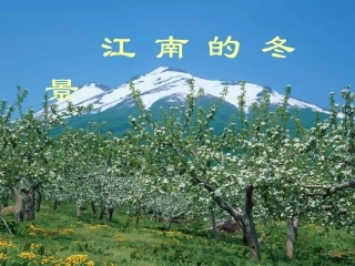 江南的冬景 课件 新课标 苏教版 课件