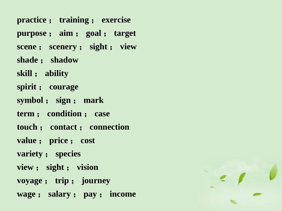 高中英语 语法过关名词辅导课件_第3页