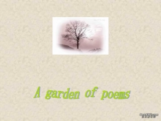 高二英语Unit4 A Garden of Poems reading 人教版 课件