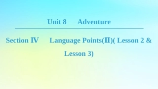 高中英语 Unit 8 Adventure Section Ⅳ Language PointsⅡ Lesson 2  Lesson 3课件 北师大版必修3 课件