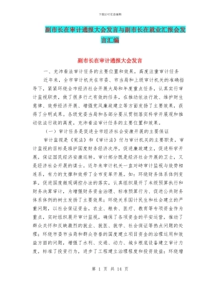 副市长在审计通报大会发言与副市长在就业汇报会发言汇编