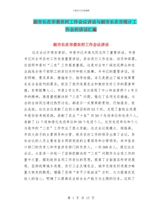 副市长在市委农村工作会议讲话与副市长在市统计工作会的讲话汇编