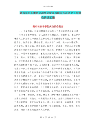 副市长在冬季防火动员会发言与副市长在创卫工作例会讲话汇编