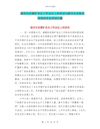 副市长在煤矿安全工作会议上的讲话与副市长在牧业攻坚动员会讲话汇编