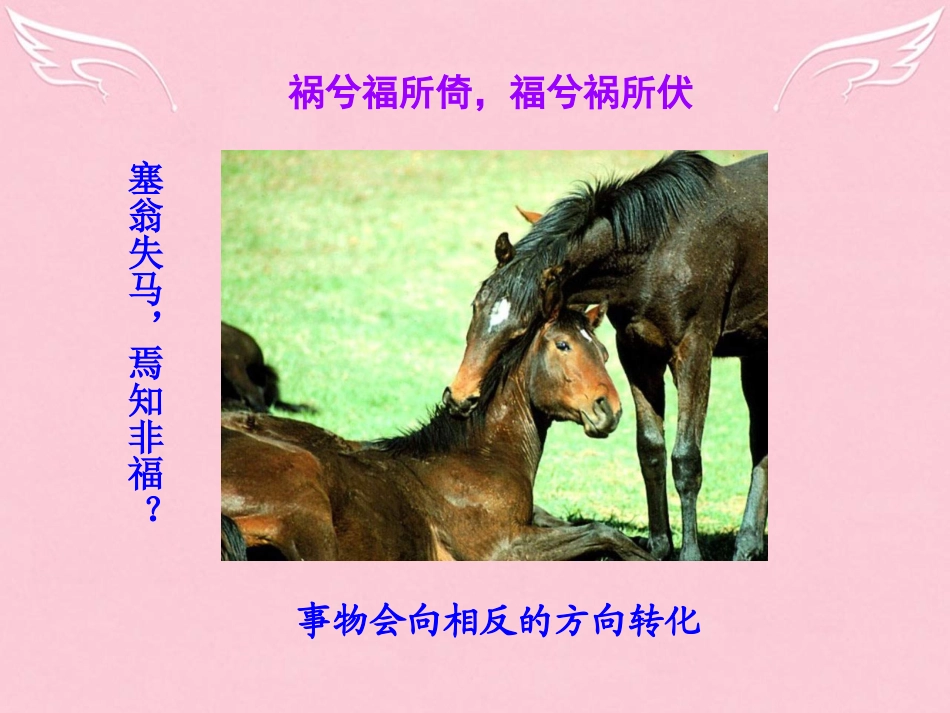 高中语文作文指导善于思辨_学习辩证分析课件新人教版必修4 课件_第3页