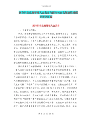 副市长在生猪管理大会发言与副市长在电煤建设视频会讲话汇编