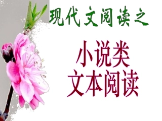 高考语文复习课件：小说类文本阅读 课件