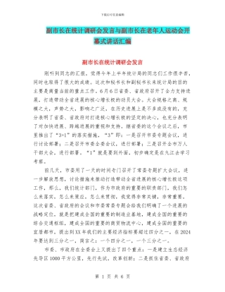 副市长在统计调研会发言与副市长在老年人运动会开幕式讲话汇编