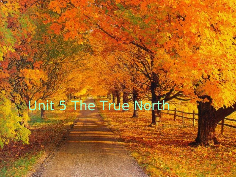 高中英语unit 5 The True North课件新人教版必修3 课件_第1页