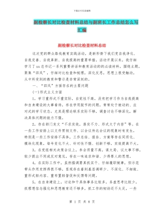 副检察长对照检查材料总结与副班长工作总结怎么写汇编