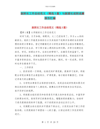 副班长工作总结范文与副盟长述职述廉报告汇编