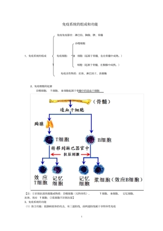 免疫调节知识点笔记