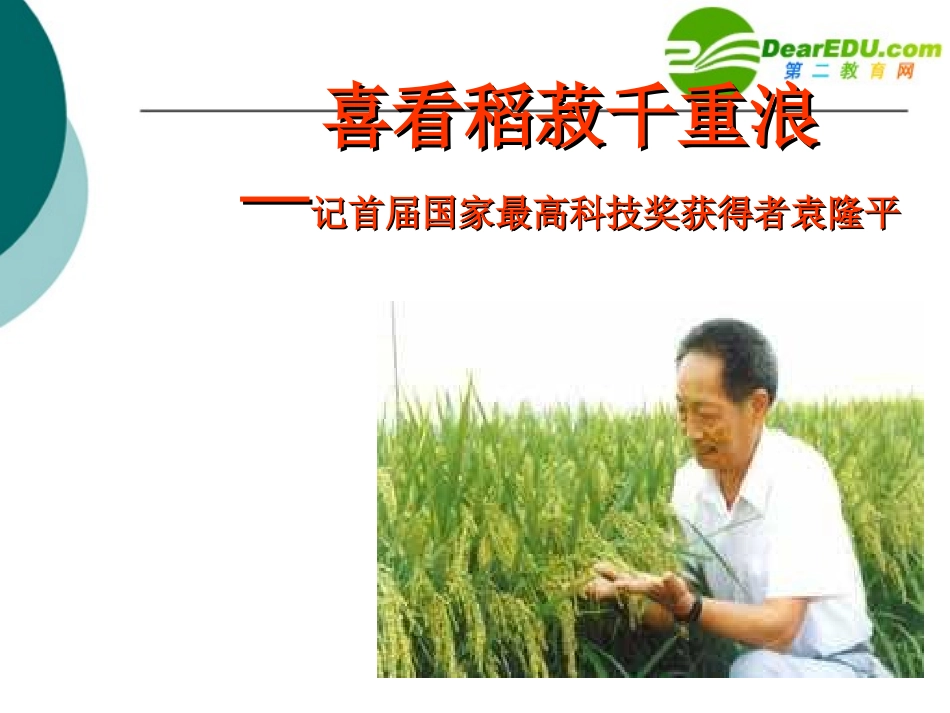 高中语文 喜看稻菽千重浪课件 粤教版必修5 课件_第1页