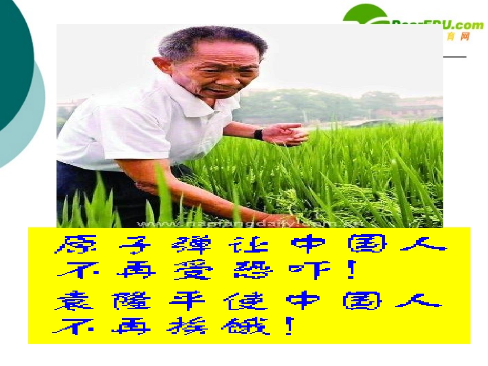 高中语文 喜看稻菽千重浪课件 粤教版必修5 课件_第3页