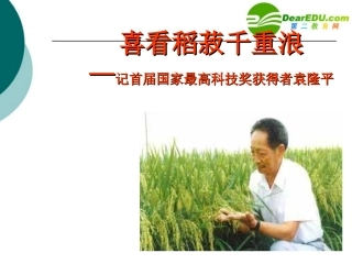 高中语文 喜看稻菽千重浪课件 粤教版必修5 课件