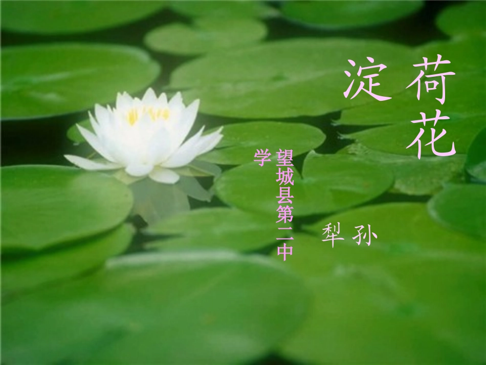 高一语文荷花淀课件 新课标 人教版 课件_第1页