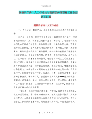 副镇长年终个人工作总结与副高级护理职称工作总结范文汇编