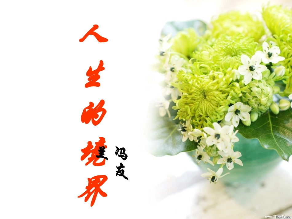 高三语文人生的境界课件 人教版 课件_第1页