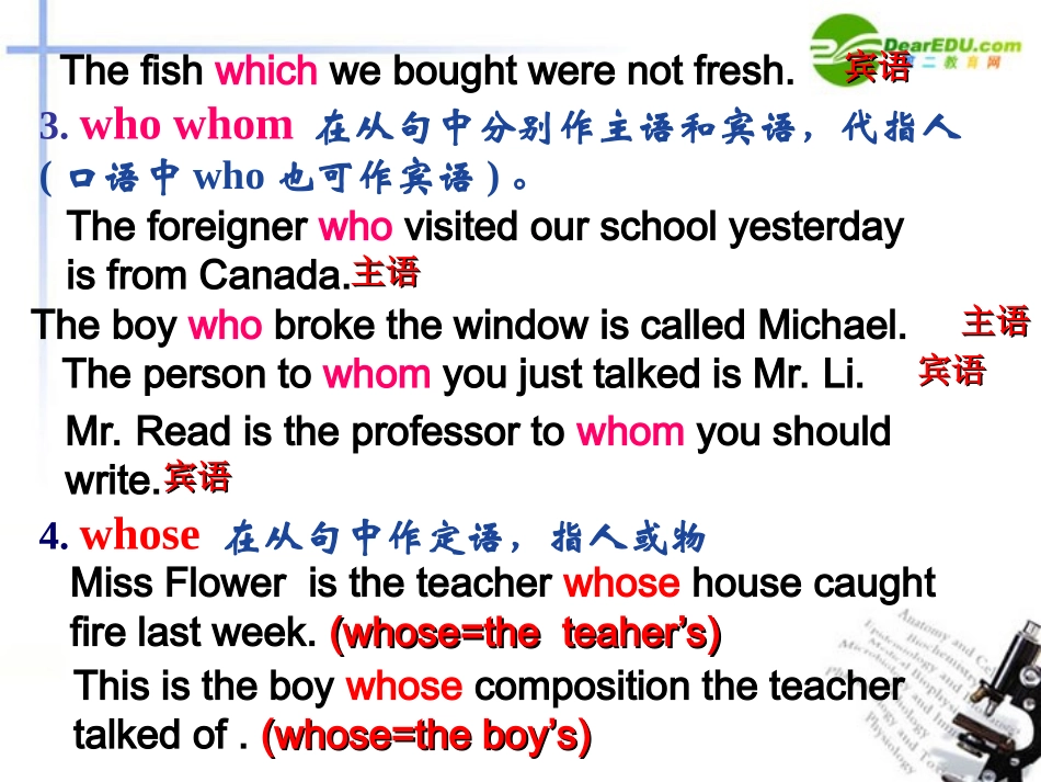 高中英语 语法定语从句课件 新人教版 课件_第3页