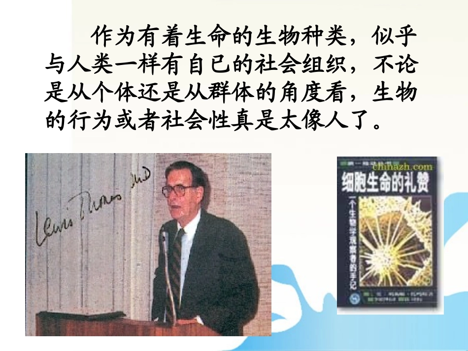 高中语文 (作为生物的社会)课件 新人教版必修5 课件_第2页