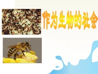 高中语文 (作为生物的社会)课件 新人教版必修5 课件