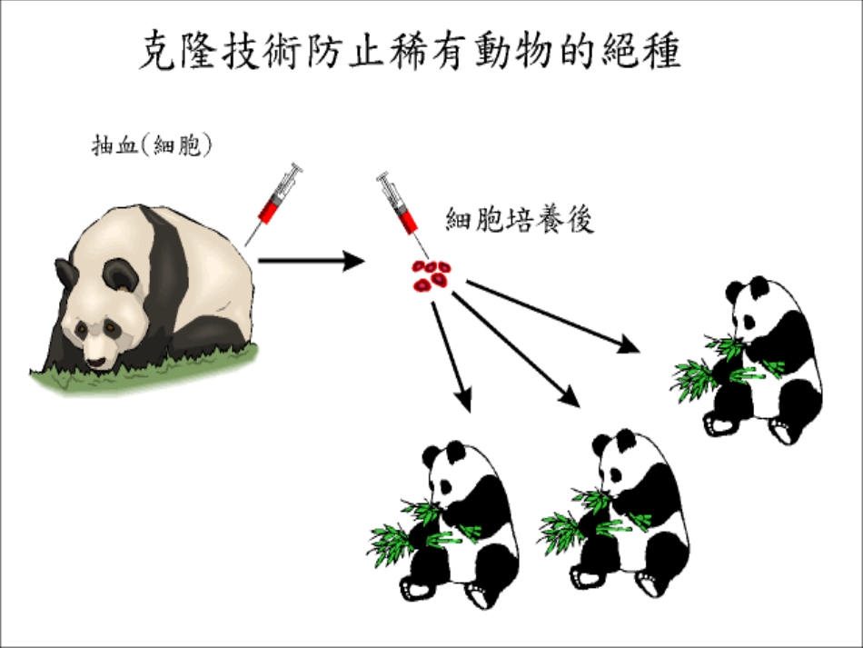 浙江地区高二英语Unit11 课件_第2页