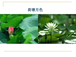 高中语文荷塘说课用课件苏教版必修2 课件