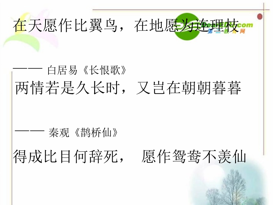 高中语文 (致橡树)备课课件_第1页