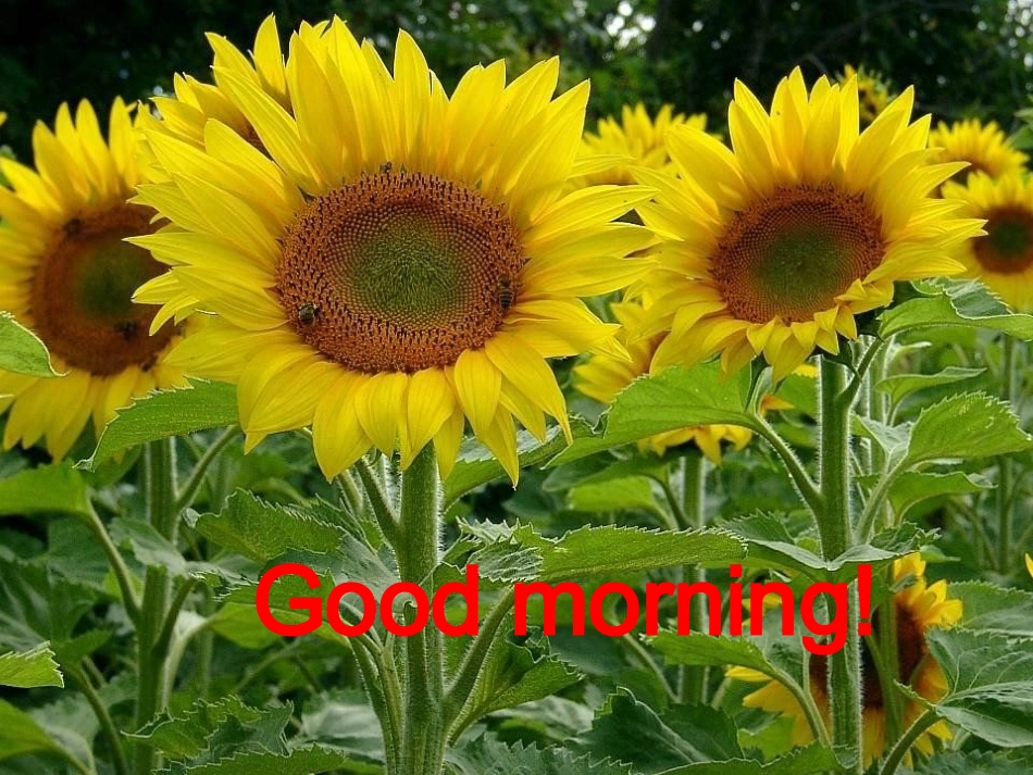 高中英语 Unit3 Back to the past 课件 牛津译林版必修3 课件_第1页