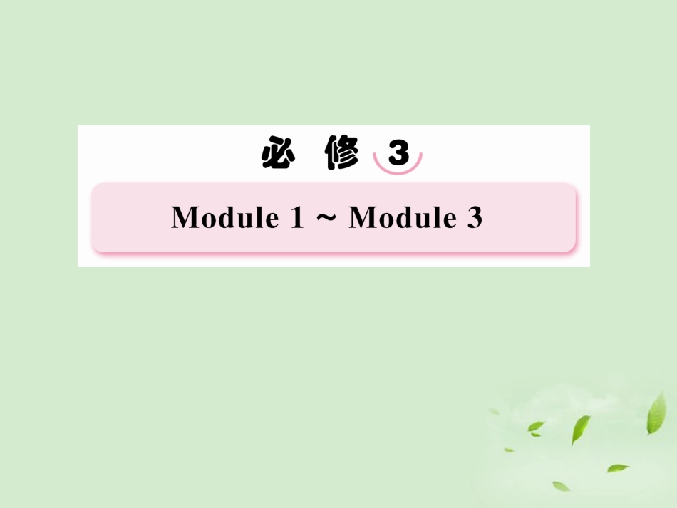 高考英语总复习 Unit2 Developing and Developed Countries精品课件 外研版必修3 课件_第1页