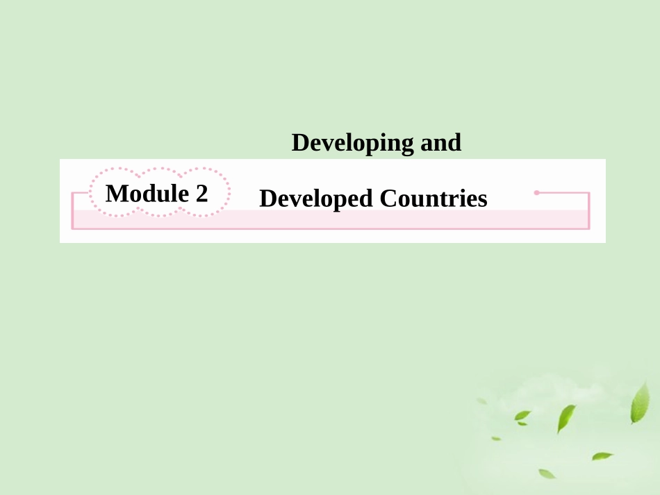 高考英语总复习 Unit2 Developing and Developed Countries精品课件 外研版必修3 课件_第2页