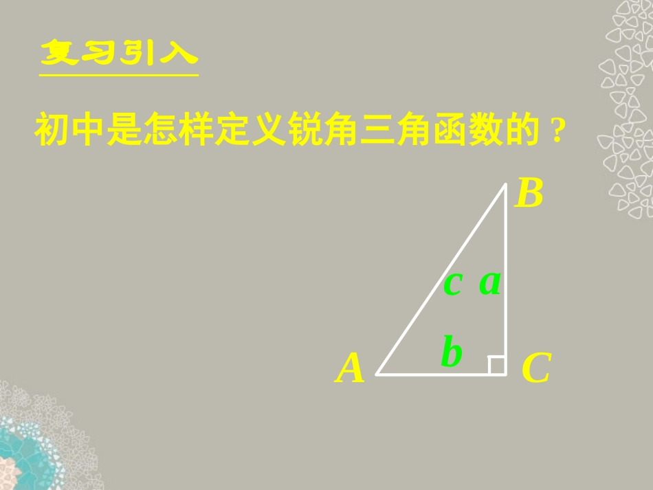 高一数学 (121任意角的三角函数)课件(一) 课件_第2页