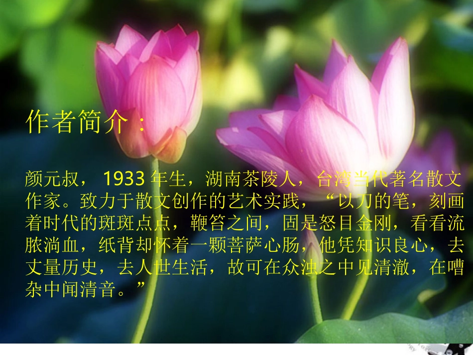 高中语文(荷塘风起)课件 鲁教版必修1 课件_第2页