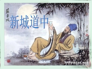 高二语文(新城道中)课件 人教版 课件