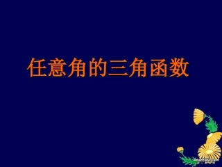 高一数学任意角的三角函数课件5 人教版 课件