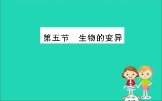 版八年级生物下册 第七单元 生物圈中生命的延续和发展 第二章 生物的遗传和变异 5 生物的变异训练课件 (新版)新人教版 课件