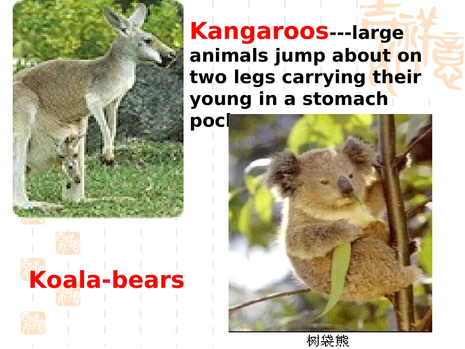 高三英语上学期第三单元Reading and grammar课件_第1页