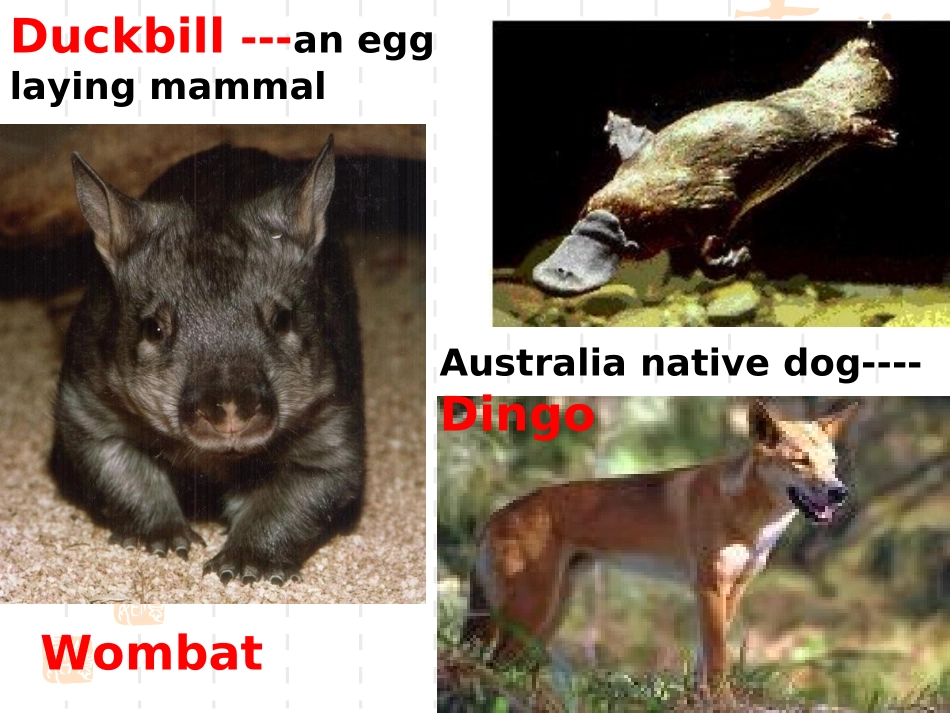 高三英语上学期第三单元Reading and grammar课件_第2页